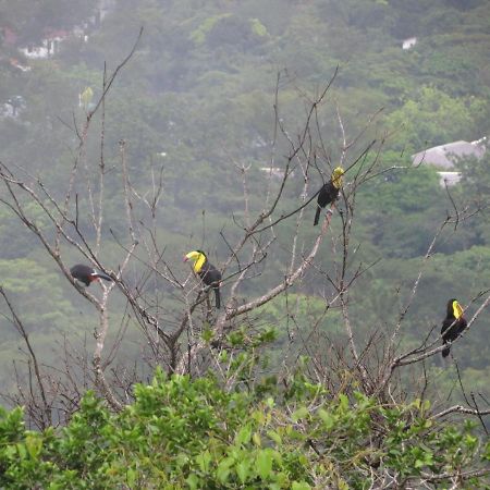 Ziruma El Valle de Anton Buitenkant foto